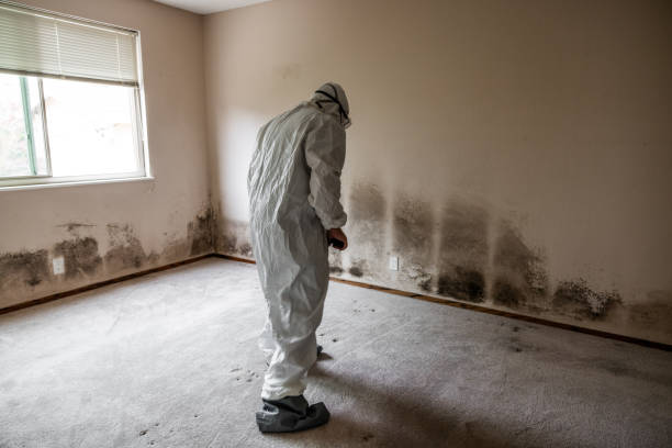 Huntsville, MO Mold Inspection, Removal & Remediation Company